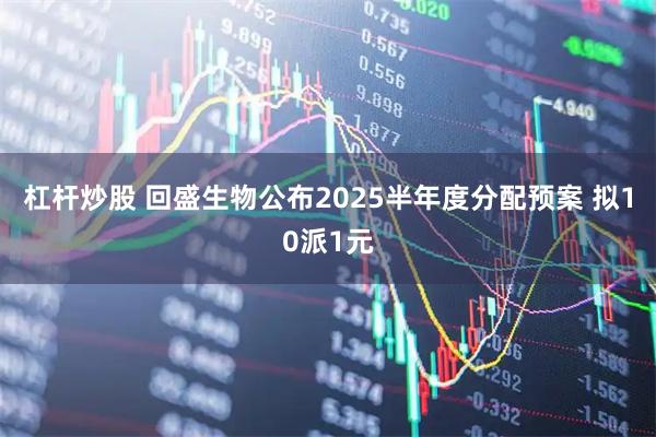 杠杆炒股 回盛生物公布2025半年度分配预案 拟10派1元