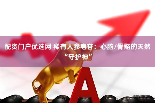 配资门户优选网 稀有人参皂苷：心脑/骨骼的天然“守护神”
