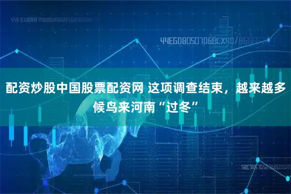 配资炒股中国股票配资网 这项调查结束，越来越多候鸟来河南“过冬”