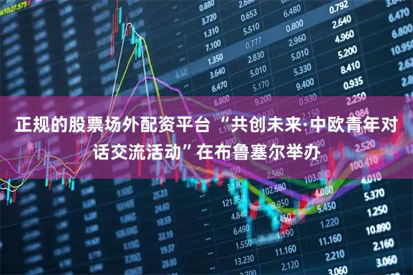正规的股票场外配资平台 “共创未来·中欧青年对话交流活动”在布鲁塞尔举办