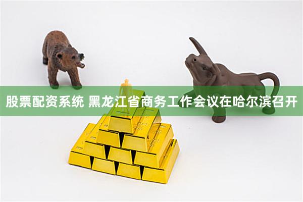 股票配资系统 黑龙江省商务工作会议在哈尔滨召开