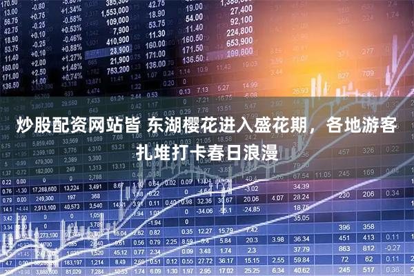 炒股配资网站皆 东湖樱花进入盛花期，各地游客扎堆打卡春日浪漫