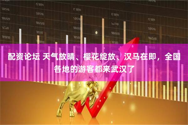 配资论坛 天气放晴、樱花绽放、汉马在即，全国各地的游客都来武汉了